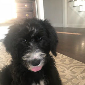 Meet your Posher, Kate